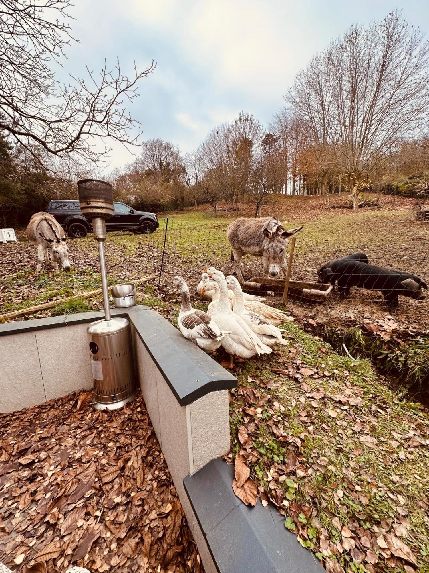 La Villagio Parmain Eksteriør bilde